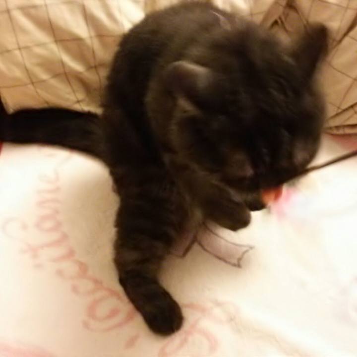 8cfadef7 299a 4033 b515 3f2b12374e77