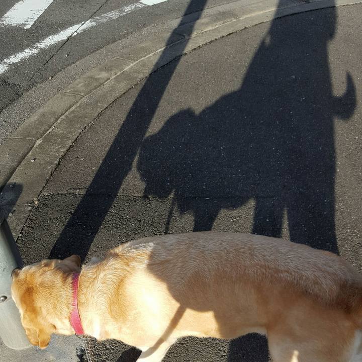 8cfae9fd ba40 49f1 bb4b 8496491b3b4b