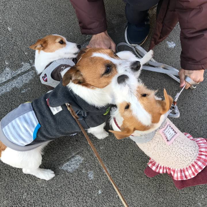 8cfba915 acb5 4af6 b45a 6e3a92d14c6c