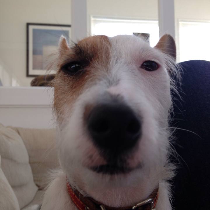 8cfbaa64 775a 490f 9e07 94d7911ee6df