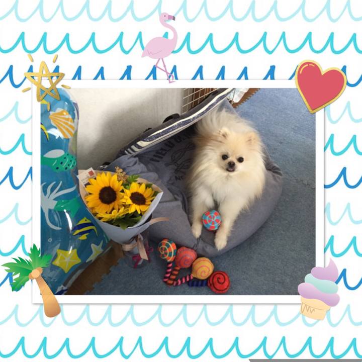 8cfc0d43 7b7e 4b22 986a 5b8e6b4766e2