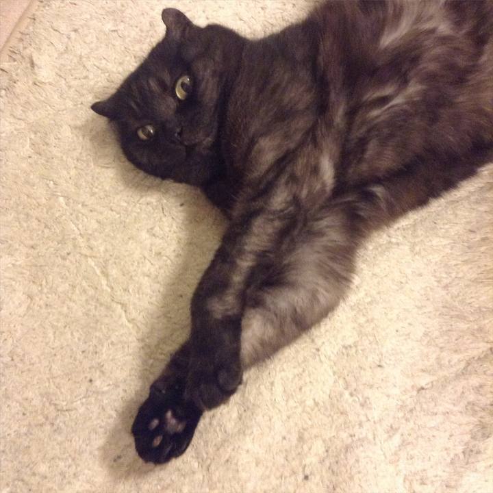 8cfc50d6 fb7a 4817 a495 9523ab9ab114