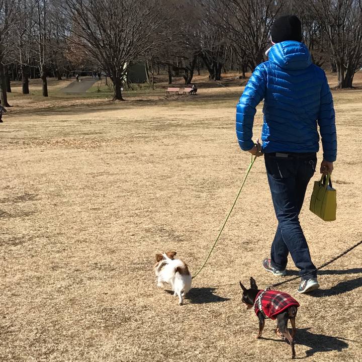 8cfcc2d4 54af 4836 99ab a78914f7f1e2