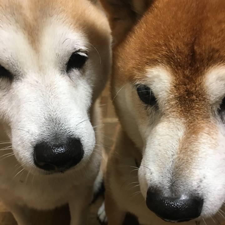 8cfd294f e175 4aed a0d0 cba26229983f