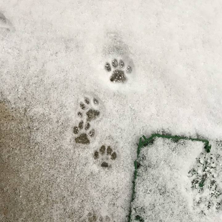 8cfdaf34 a101 4d01 a74a edb31c4f1ec0