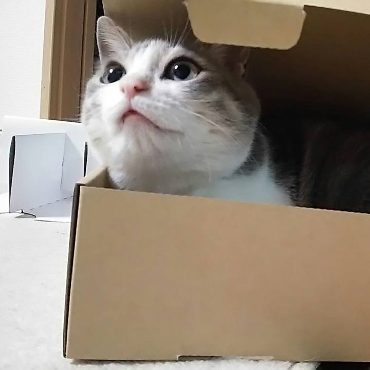 8cfe47b1 3e44 41e4 9dc8 d2b659739b02