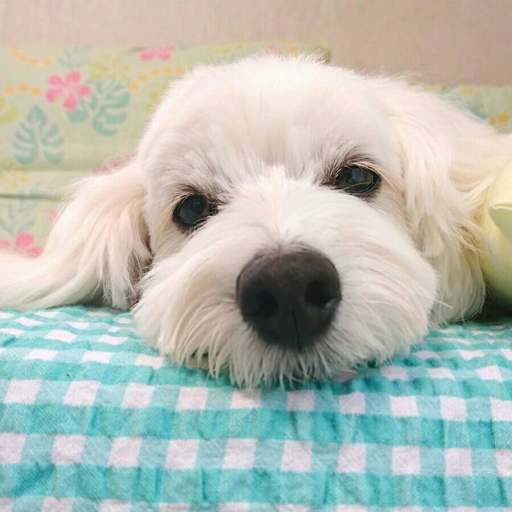 8cfe589b eb94 4992 8ef7 46f9360a545b