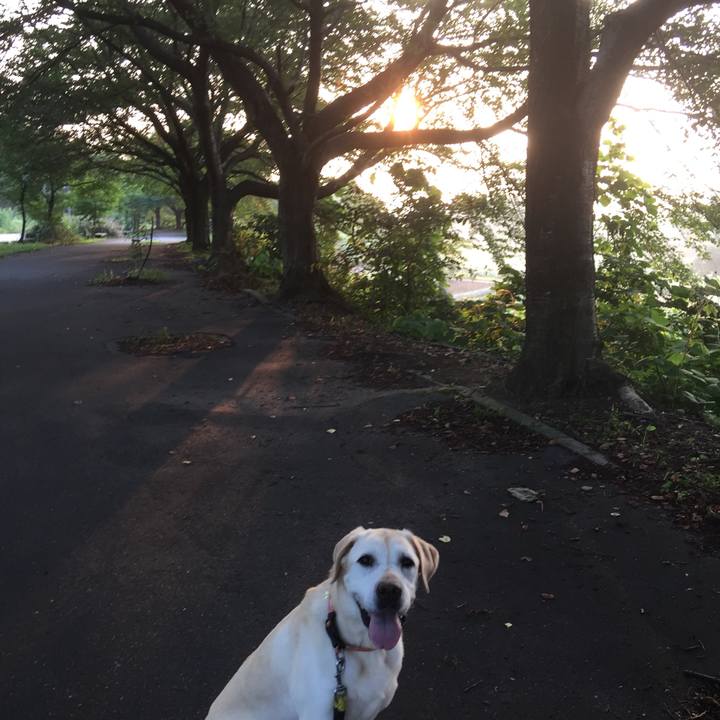 8cfea0e9 5d0a 4717 9944 ab65c36a7bd1