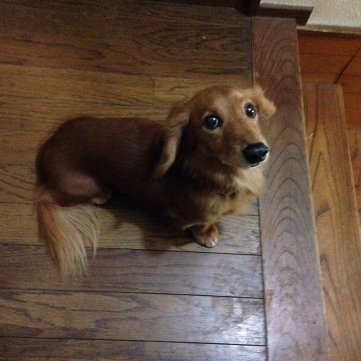 8cff1875 6340 419d 82d1 b3224b3e2191