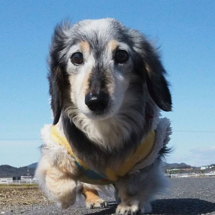 8cff443e bf89 4be8 bdad e8f362867106