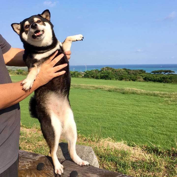 8cffbe50 9463 4a23 a9f7 be8fb7fa0ca9