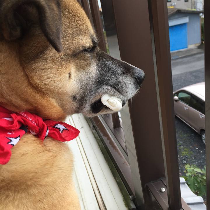 8d0043ae 9eea 44c5 b05c 53b30157b345