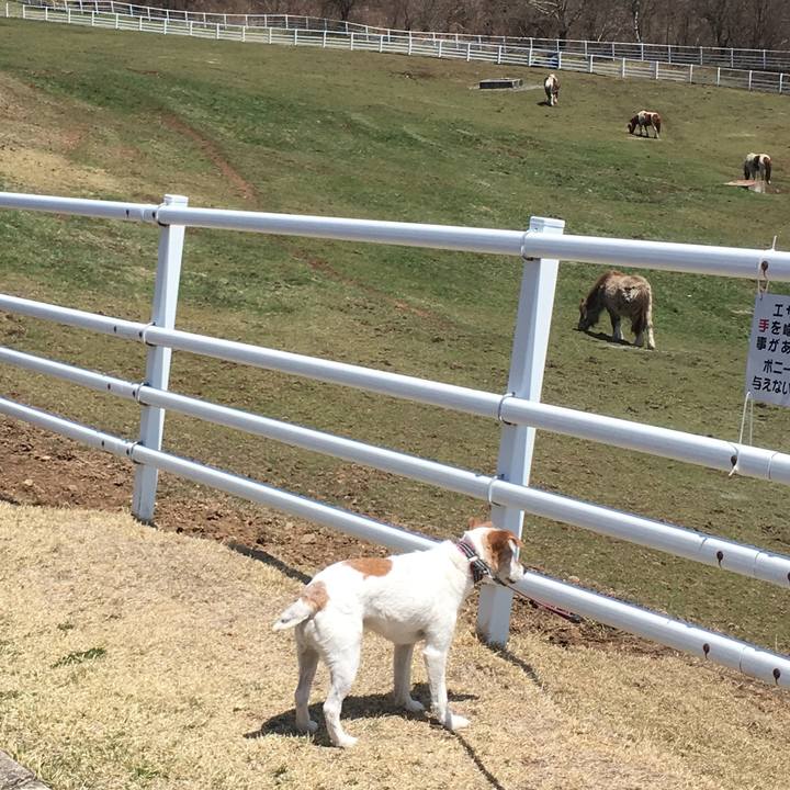 8d00ec48 357c 4a76 9d3a 2d015535bbfb