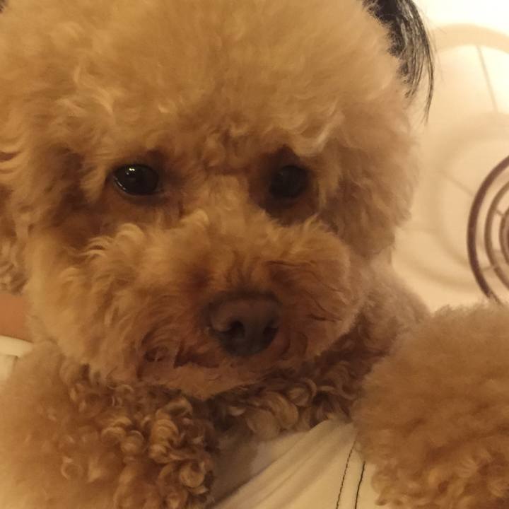 8d01d271 6aec 469a 978f 0a75666966af