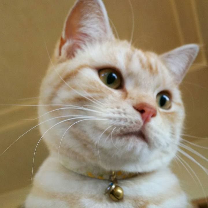 8d020310 26e2 4e3a 874f 0c5f2a57a904