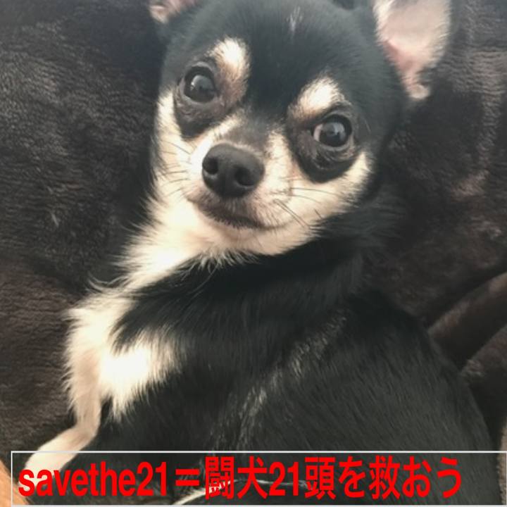 8d0239e0 bec1 4449 9ab0 f512660748b8