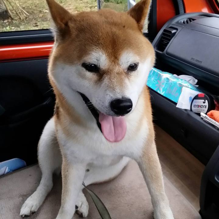 8d031dd7 dd23 4990 b21f 42a125296c27