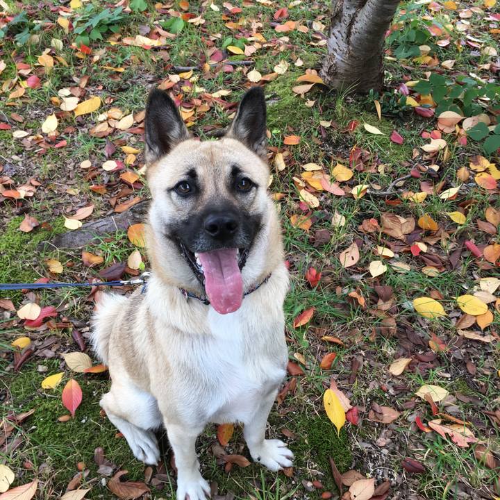 8d033fb9 161d 468b 9a1c 2cf1c1099c72