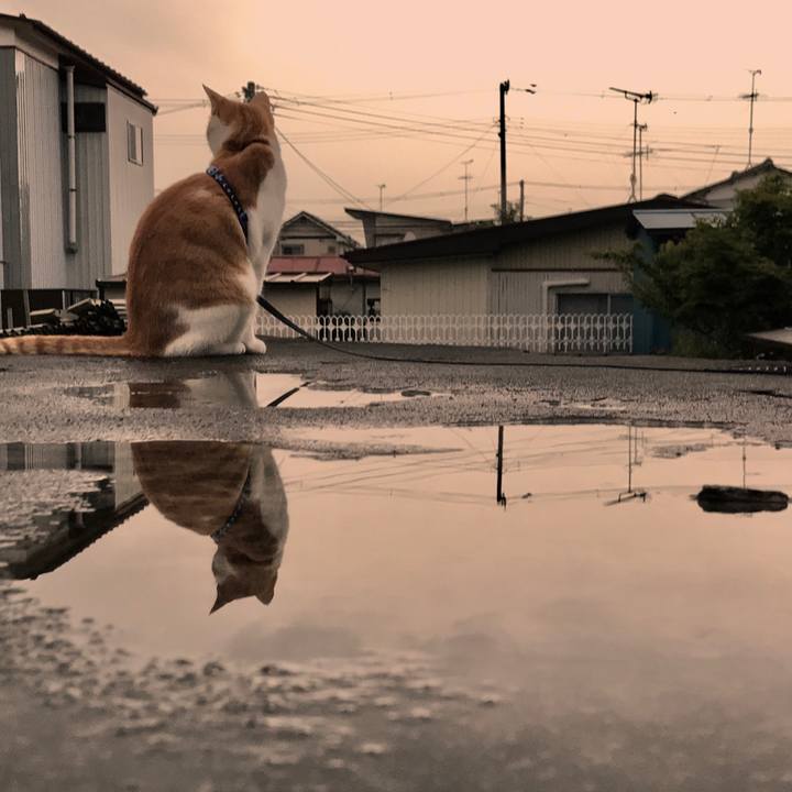 8d05dd0f c977 4efd a9c7 eda0fe14c3fa