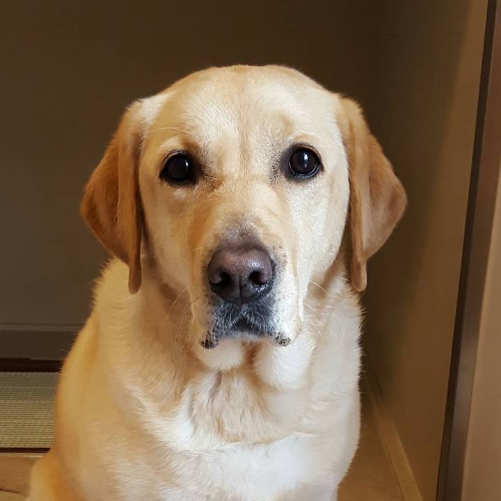 8d069af9 ee8c 4d69 8faf 09b8ba7baa46