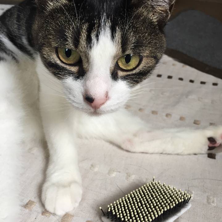 8d06a890 1b92 4649 a7af 4ff84cbb241a