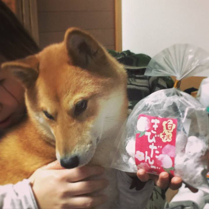 8d075eb0 5658 4165 9498 ccbfa19f993f