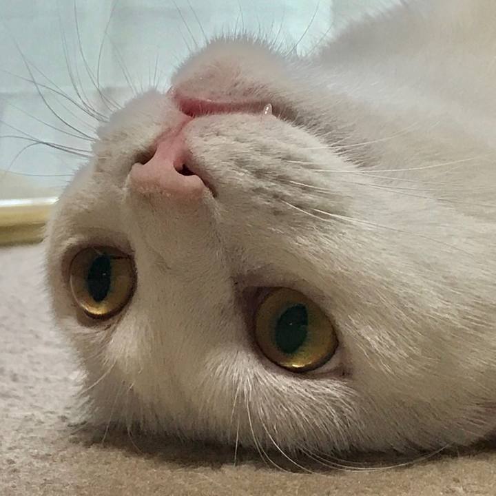 8d076881 1921 48f7 8f1c aa7db21c4778