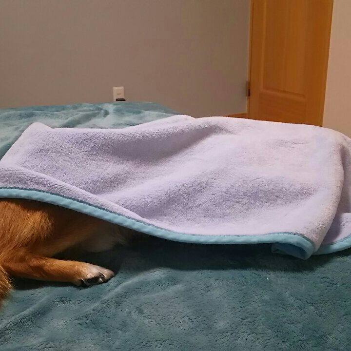 8d079843 fa1f 47b1 bb04 d12159a05747