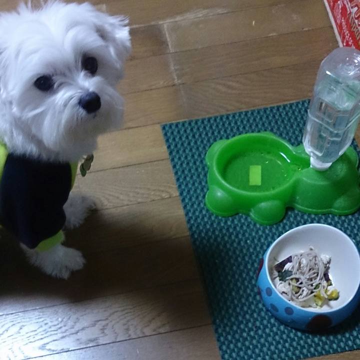 8d07dec8 6ac4 42df 9e0f 2fa530d34504