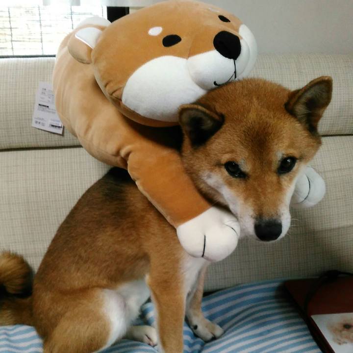 8d088713 cafa 4c7b 9e1f 7fb1e1896075