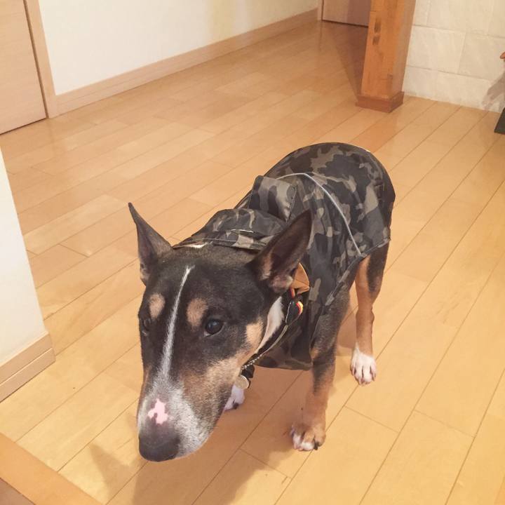 8d090217 4f21 4111 907b 32e3ff6c9b12