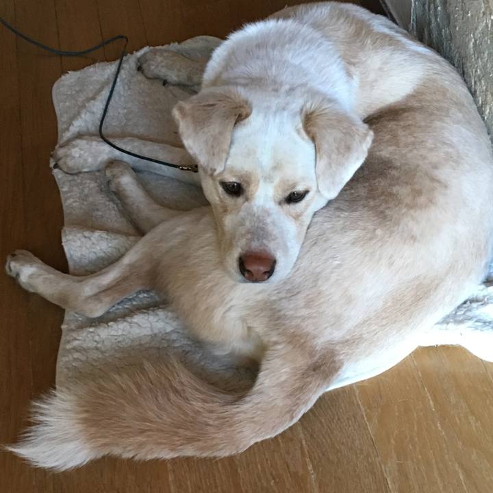 8d098f24 a737 4c4e 9afa 23197a074839