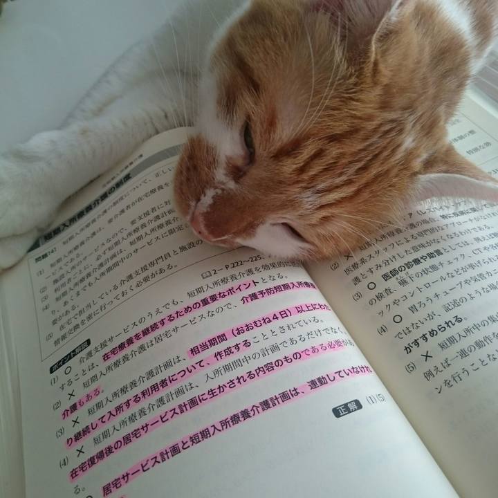 8d0a7f08 a253 43a2 bccb eda653661da8