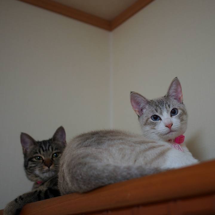 8d0a898f 91da 4b20 95e5 24d2bdf36189