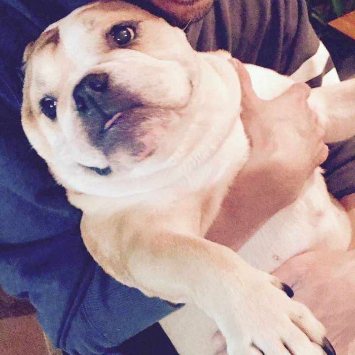 8d0ae133 f8c7 4dc5 80bd ec37d0f81045