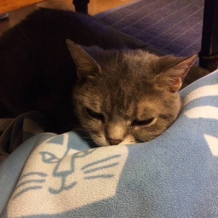 8d0b179d 5f98 44a1 93b2 d1bdf3836810