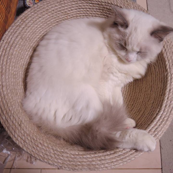 8d0bc581 bdc0 4531 be40 fbb05f135954