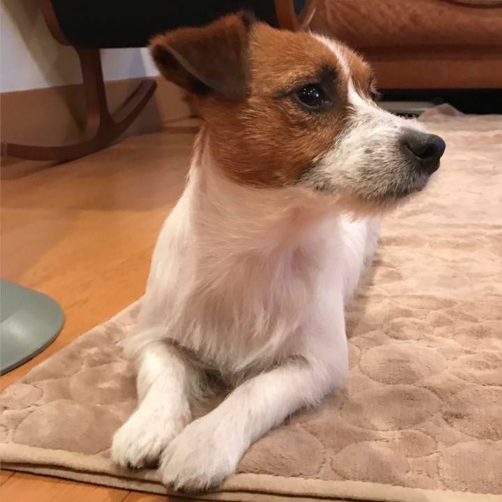 8d0c886d e8f1 49b9 b0ac f2f3f0593a71