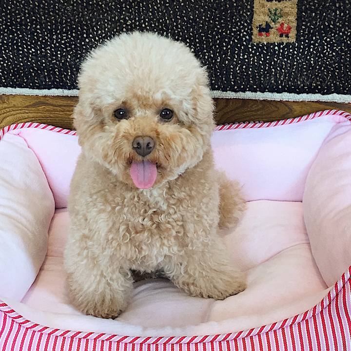 8d0cda6c 11c2 44bc ae16 e9c9069e7b46