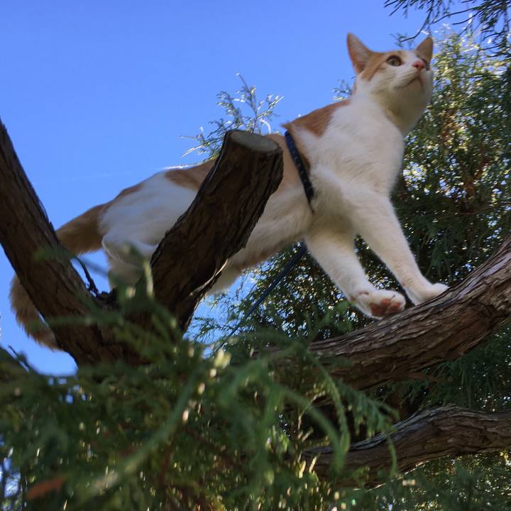 8d0d469a f489 41aa 86b6 cc212c79300e