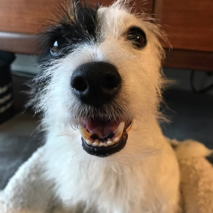 8d0d587d 827f 450a 8201 1f582041cc01