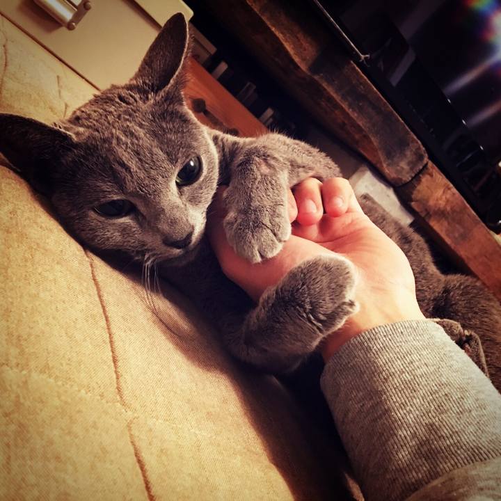 8d0d7871 581b 476c b40e 1d79e920a410