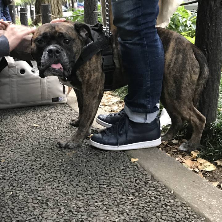 8d0dbdc8 06a9 4b19 bff8 655637eaa172