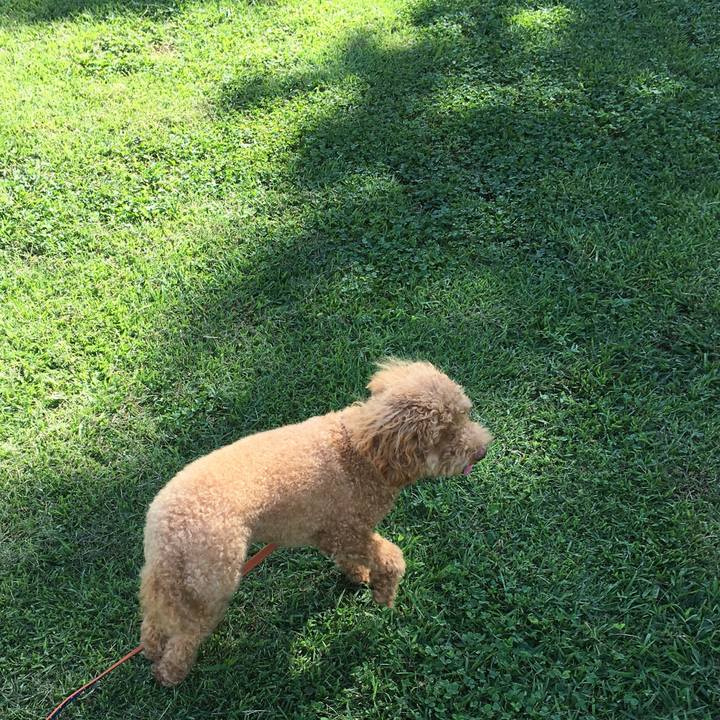 8d0df91b b7ed 4d86 a29b 732fd2f35f22