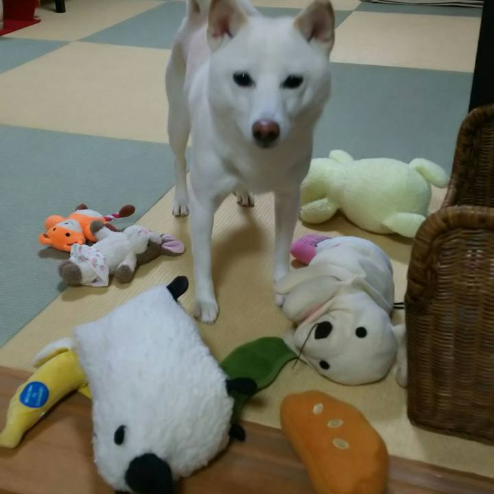 8d10b831 76a2 4e19 a4d9 bdfcb6c32cea