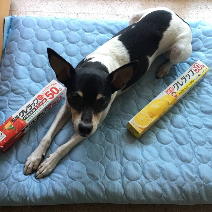 8d110ced 8941 4a82 831a 1f874620fbd0