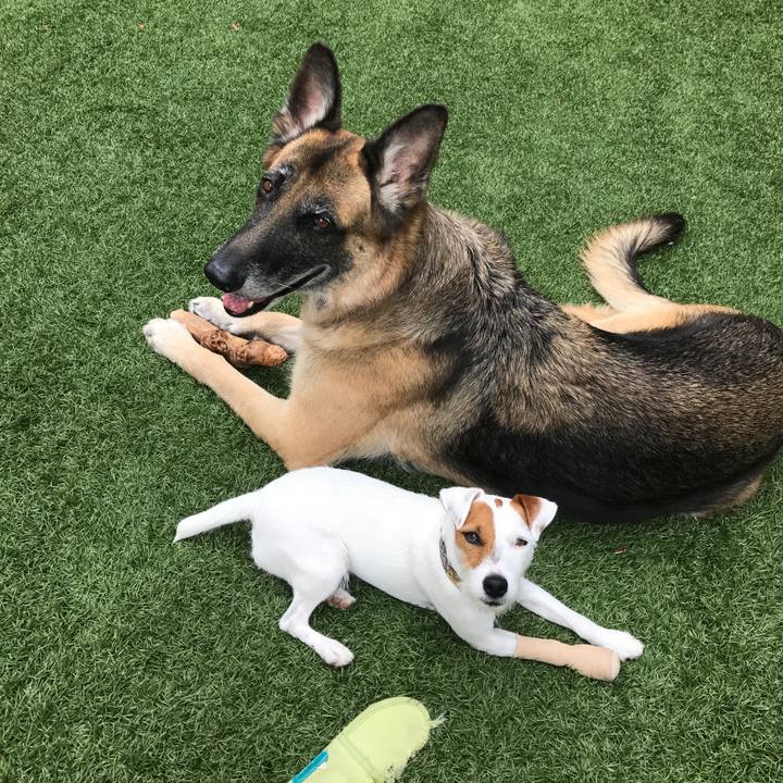 8d1115a6 fd9c 4a8a b8ee 07352997fb90