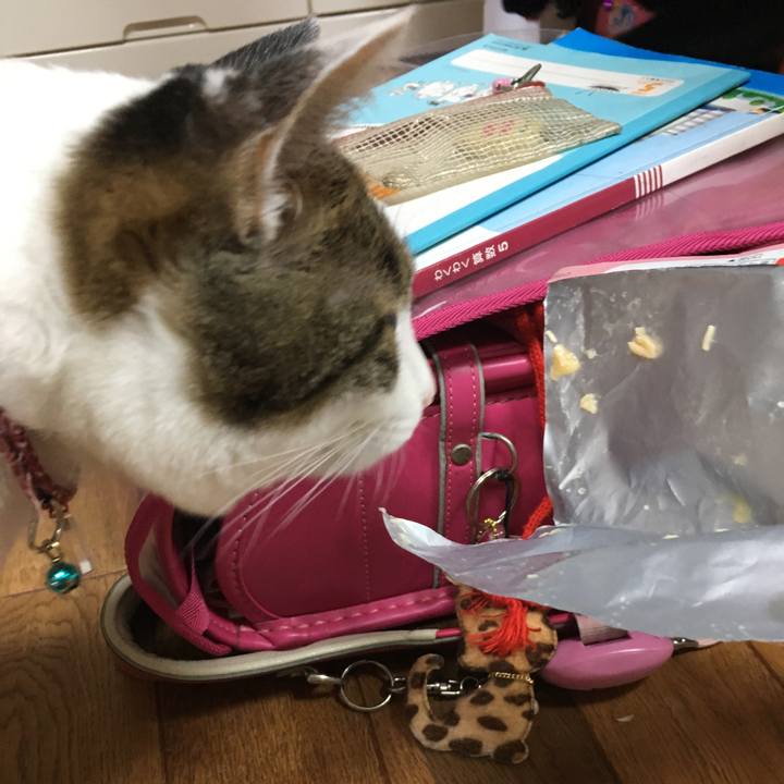 8d111d3f 1bca 4c7b a96e 01108666e856