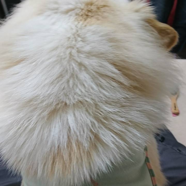 8d1159ff 42ed 4f1a 8ab2 d66b161b2842