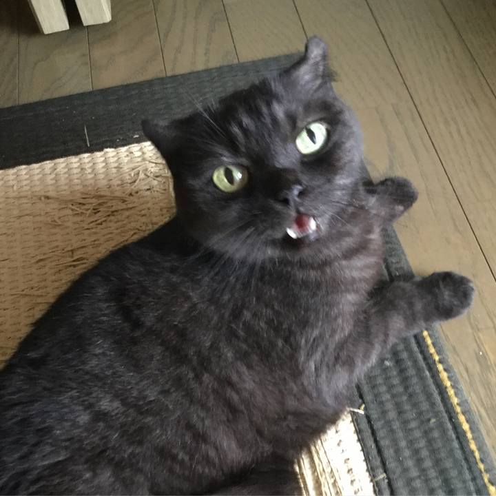 8d11b92e a224 4a6e 9f93 3af3c49e0e3b